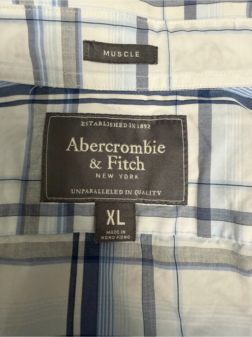 Abercrombie & Fitch Blue and White Plaid Muscle Fit Button-Down Shirt